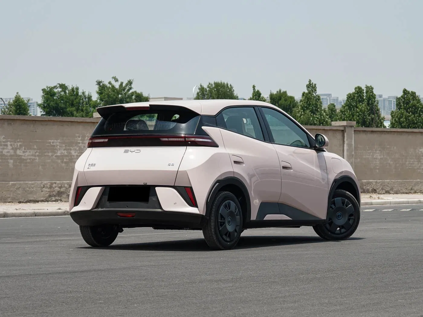 The Cute and Compact Five - Door Hatchback Byd Seagull