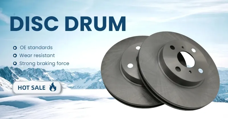 OEM Standard Brake Disc