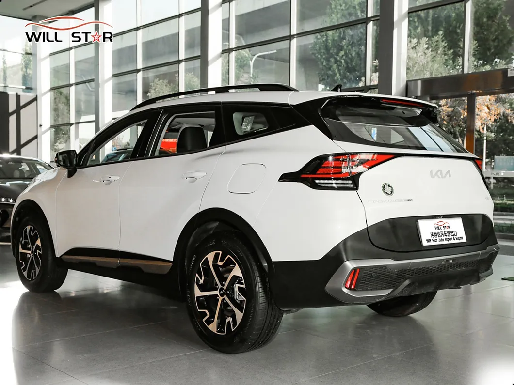 Kia Sportage View 6