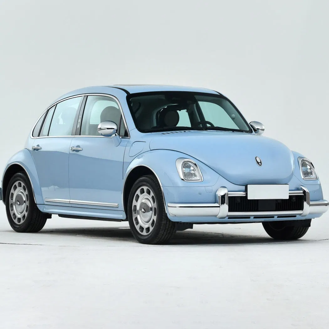 Spacious and Comfortable Ora Ballet 500km Cost-Effective Ora Electric Hatchback