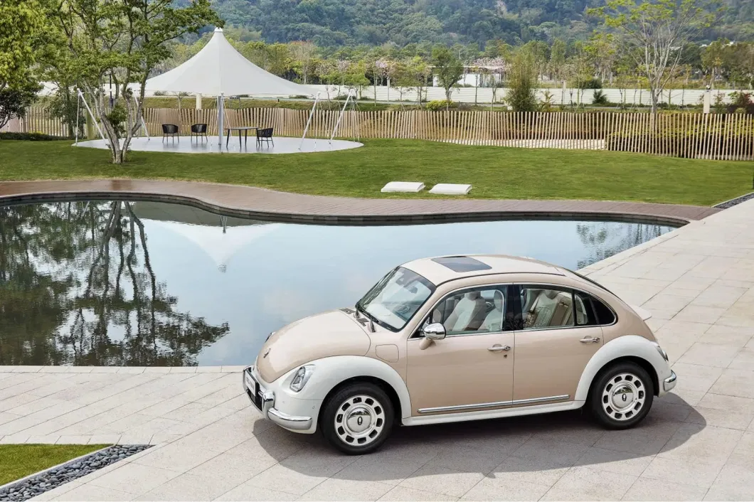 Spacious and Comfortable Ora Ballet 500km Cost-Effective Ora Electric Hatchback