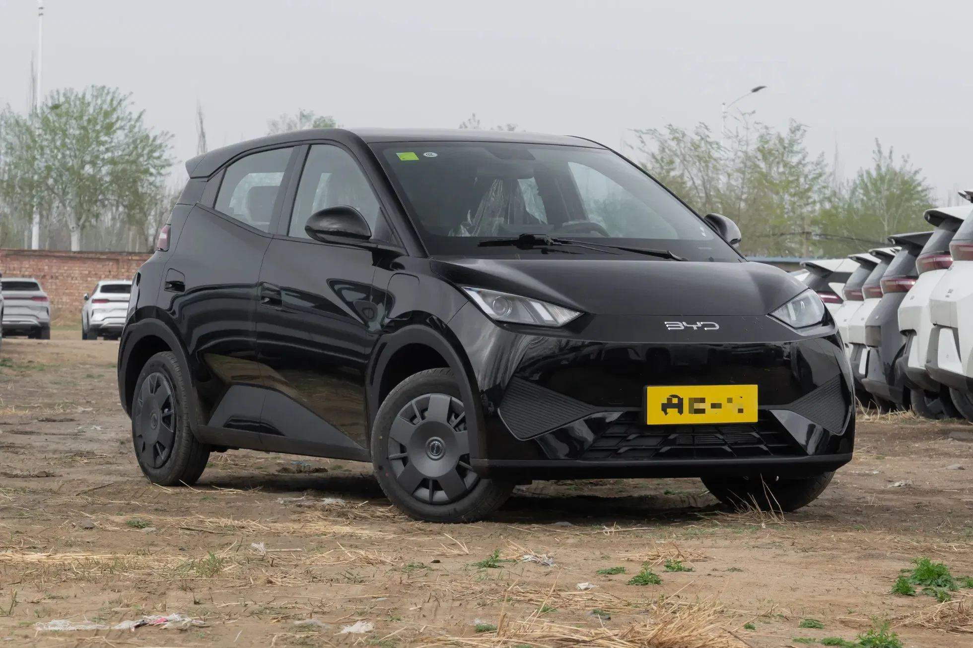 Used Byd Seagull EV 305km Range 5-Door Hatchback Smart Driving Edition