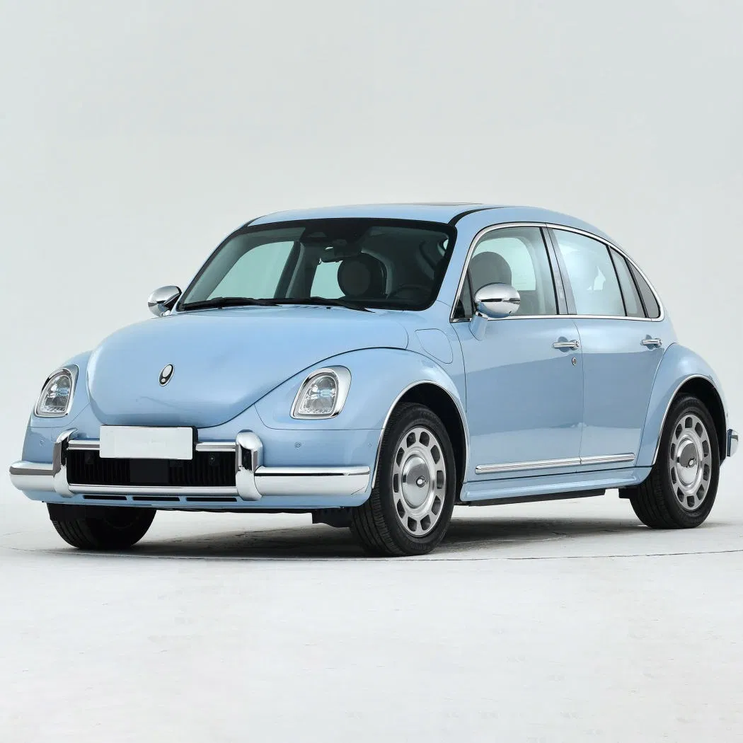 Spacious and Comfortable Ora Ballet 500km Cost-Effective Ora Electric Hatchback