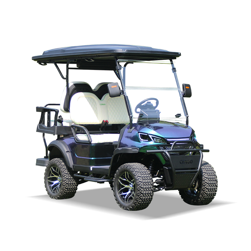 Commercial Recreational Electric Vehicle for Airports Golf Cart with Lightweight Design