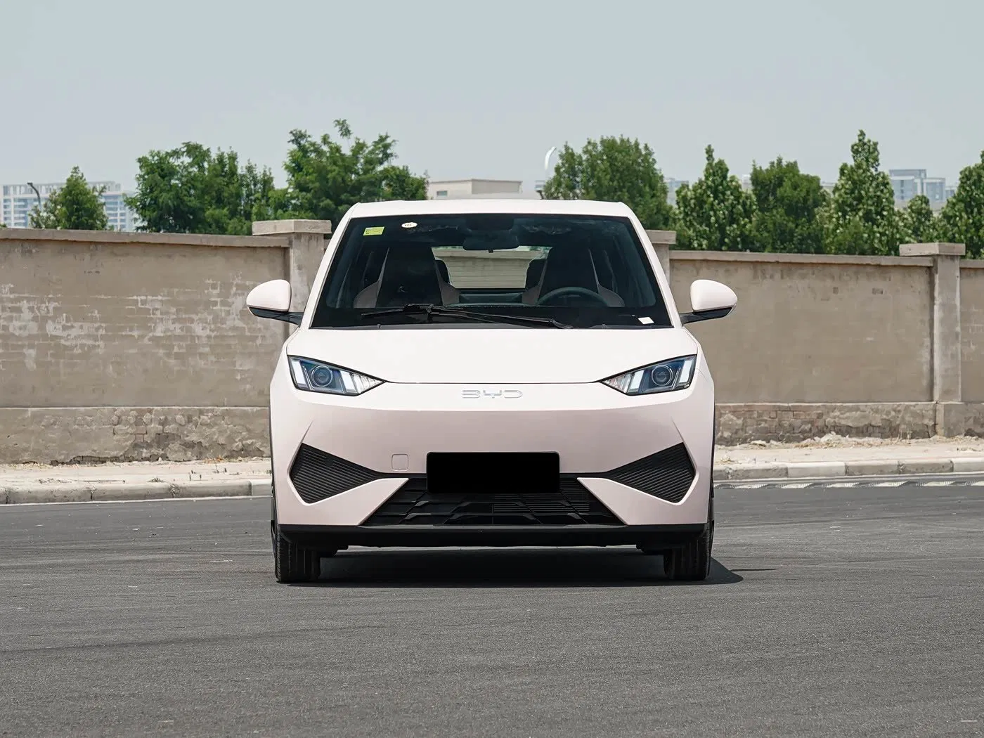 The Cute and Compact Five - Door Hatchback Byd Seagull