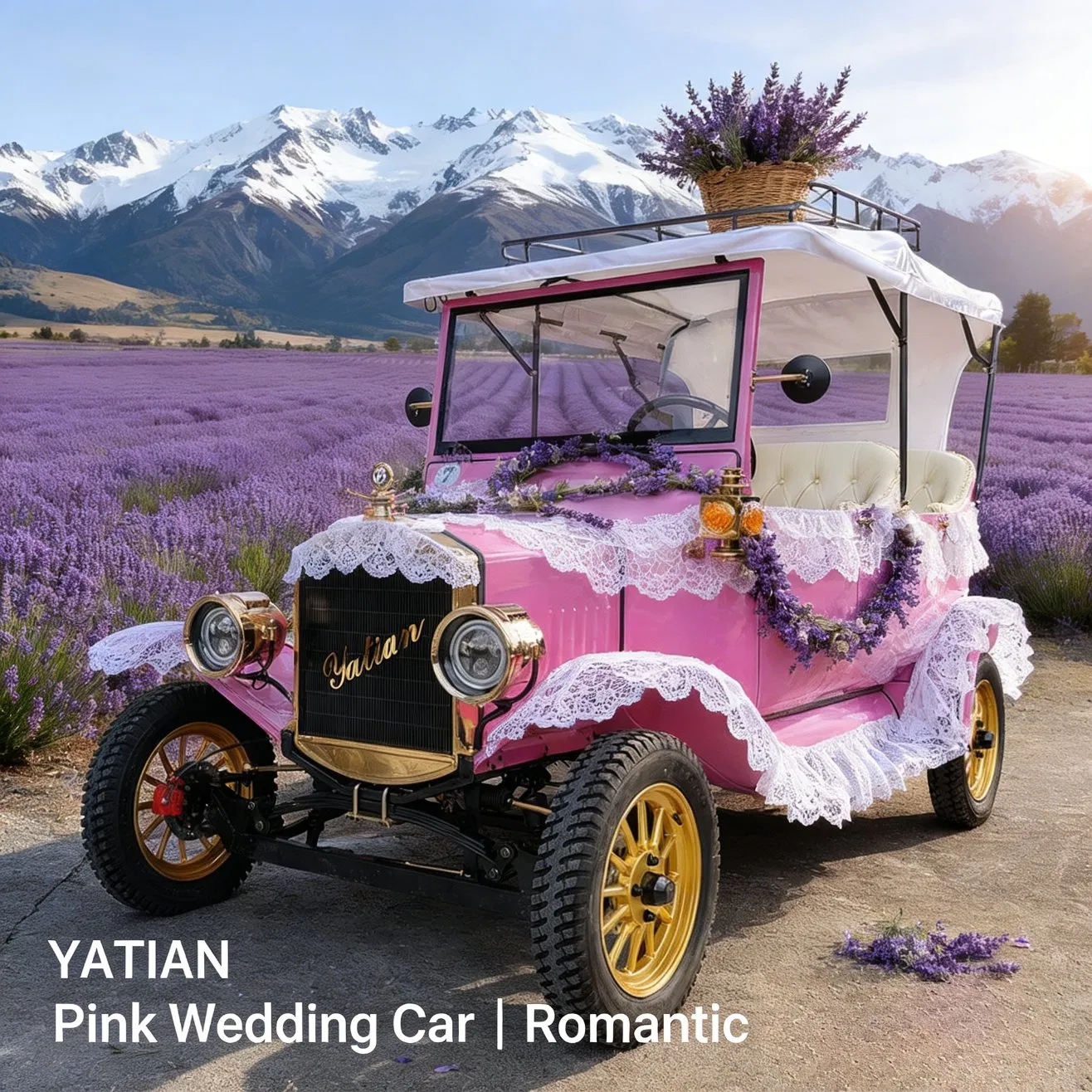 Luxury Electric Vintage Car for Sightseeing and City Tour