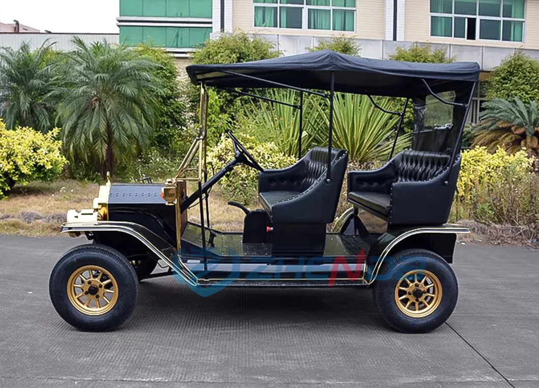 Classic Car Side View