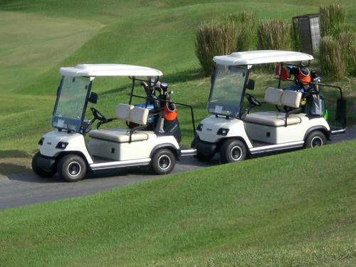 2022 Electric Sightseeing Bus Golf White 2 Seat Electric Golf Car (LT-A2)