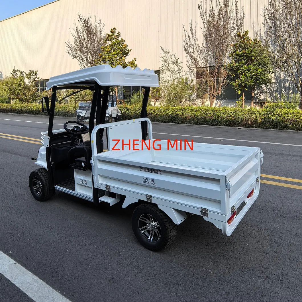 Electric Pickup Detail 4