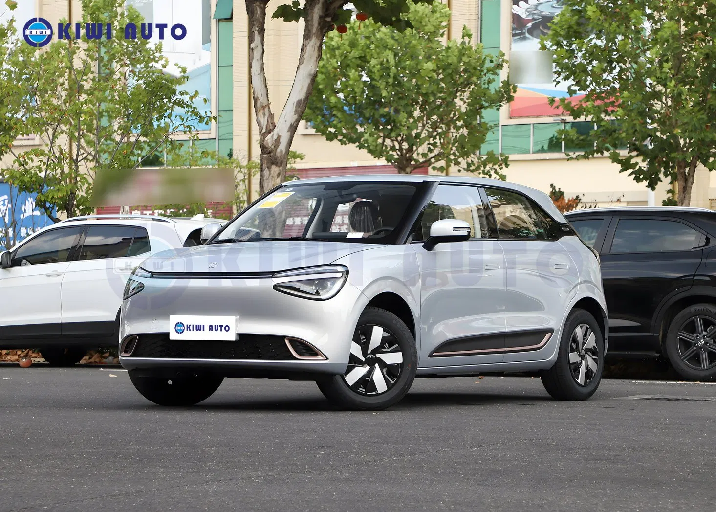 China Dongfeng Auto ELé Ctrico Mini EV Nano /Nammi 01 Long Range Small New Energy Electric Hatchback