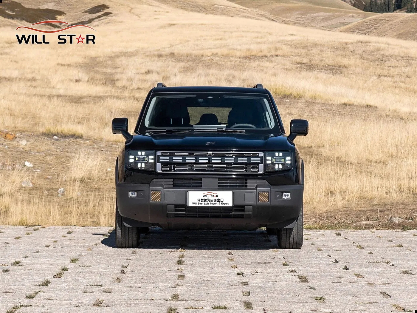 in Stock Car Chery Jetour Shanhai T1 Luxury Long Range Plug in Hybrid Car Family SUV Used Cars for Sale