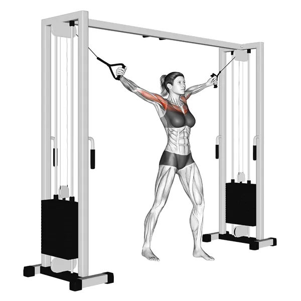 Smith Machine Details