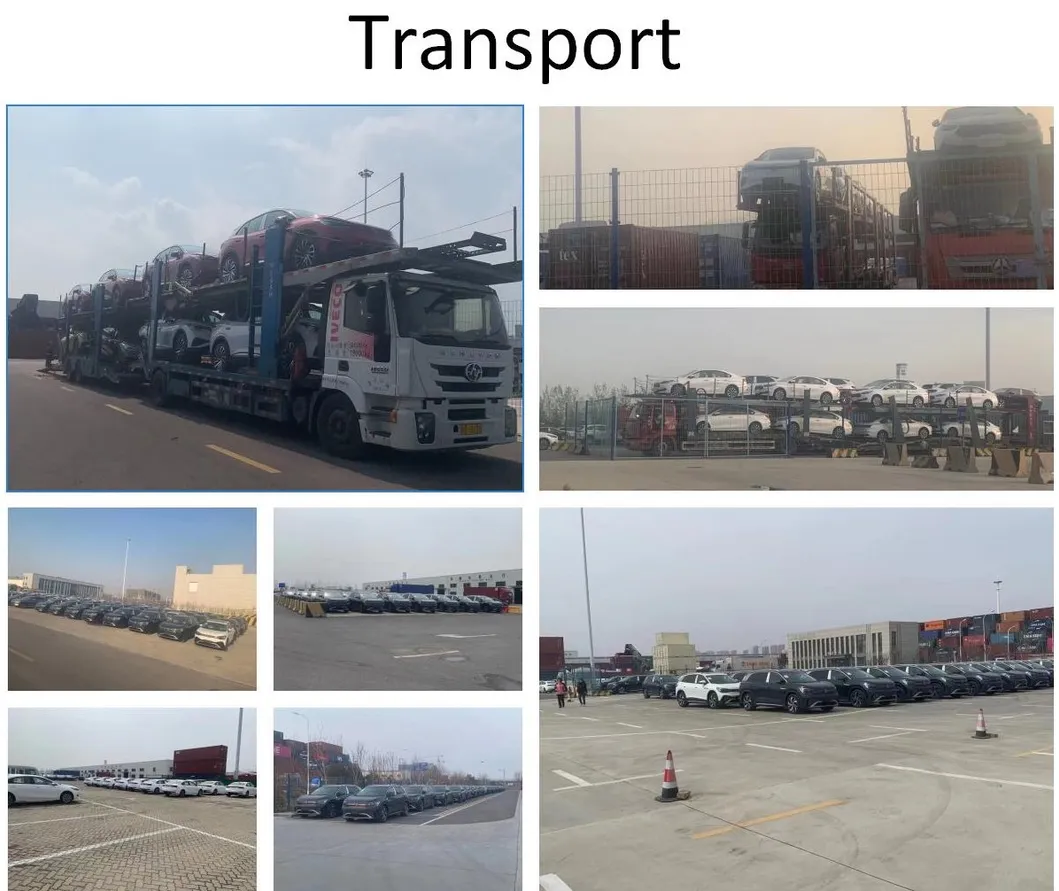Shipping and Transport