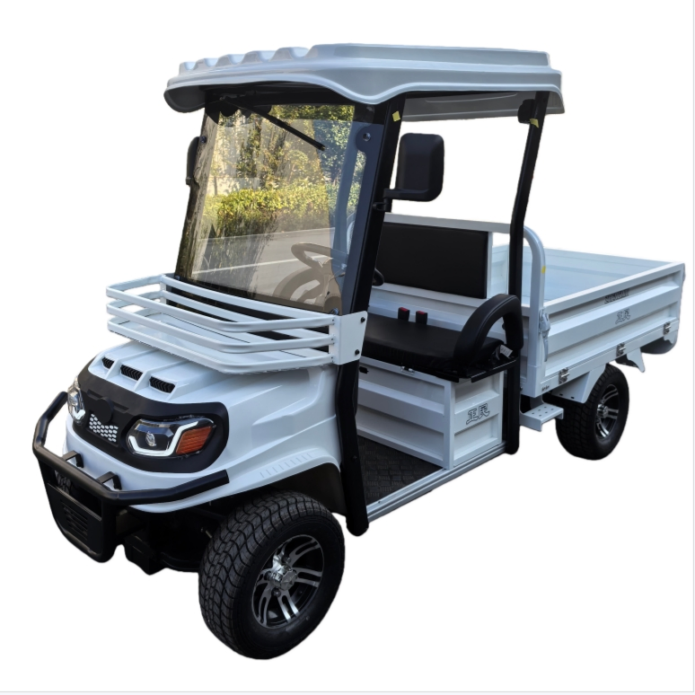 Wholesale Cool Design Adult Battery Operated 4 Wheels 60V2500W Electric Mini Pickup EV Truck Cargo Car