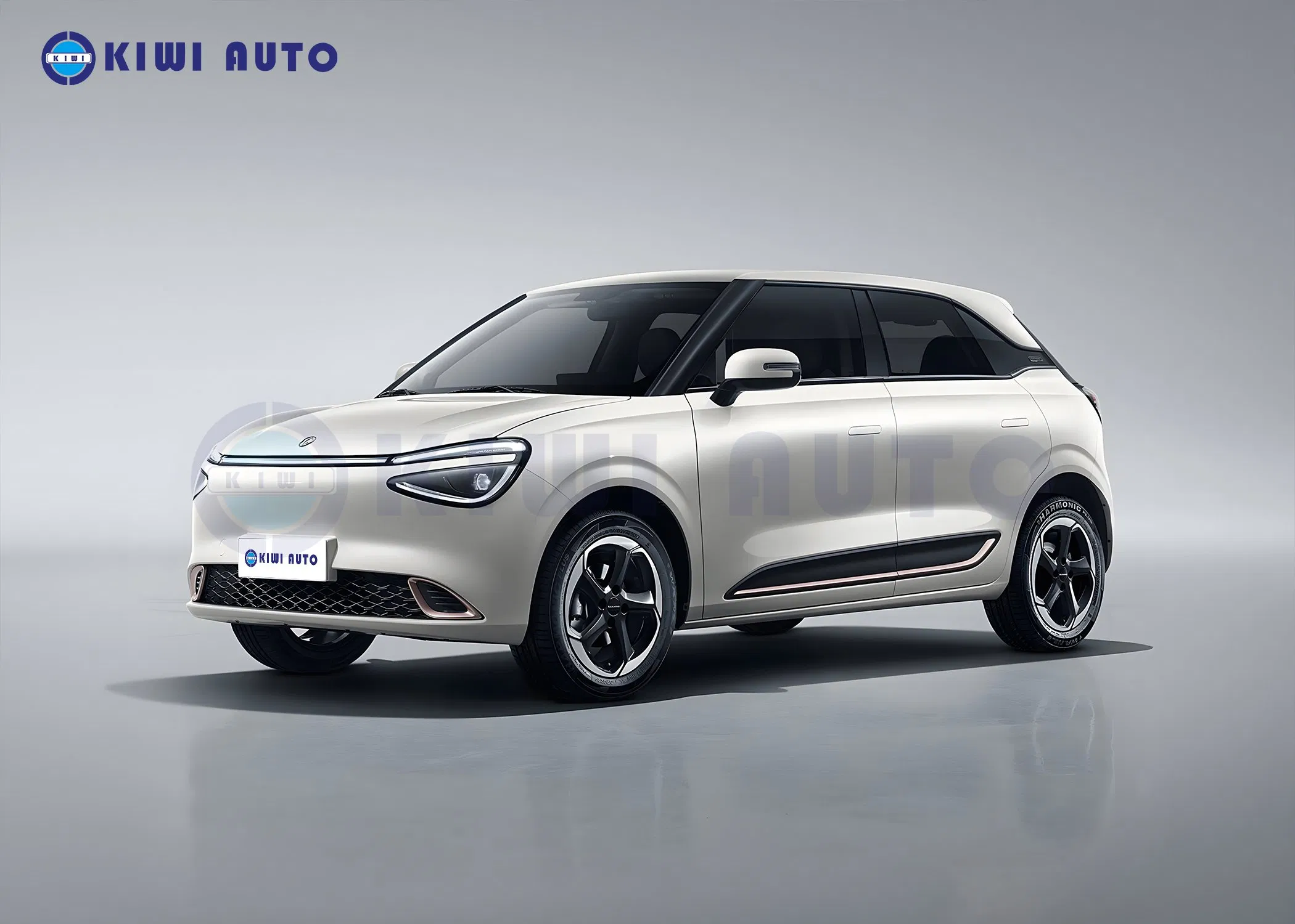 China Dongfeng Auto ELé Ctrico Mini EV Nano /Nammi 01 Long Range Small New Energy Electric Hatchback