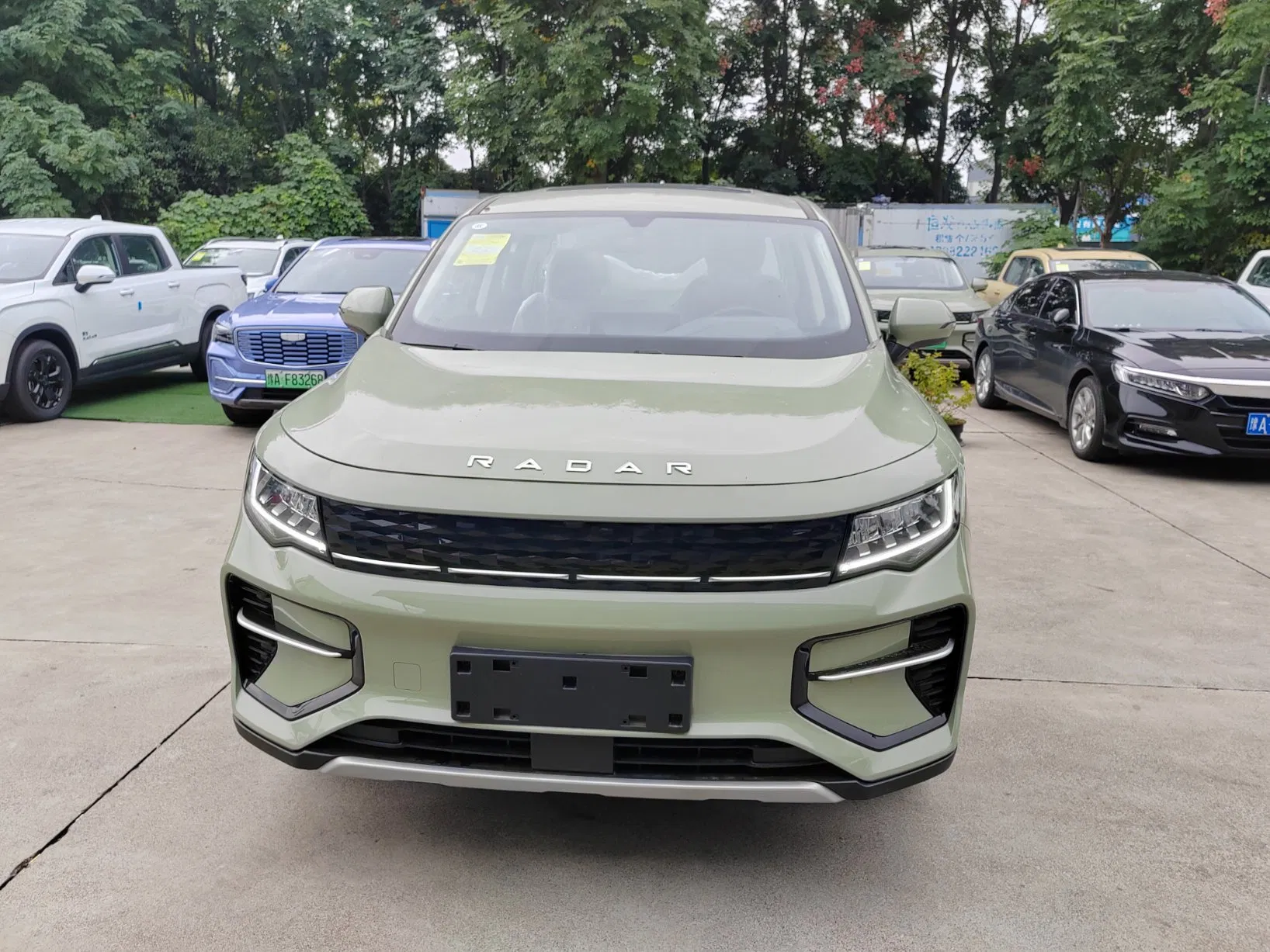 2024 New Geely Rd6 Pure Electric/EV 4X2 Double Cabin Pickup Truck