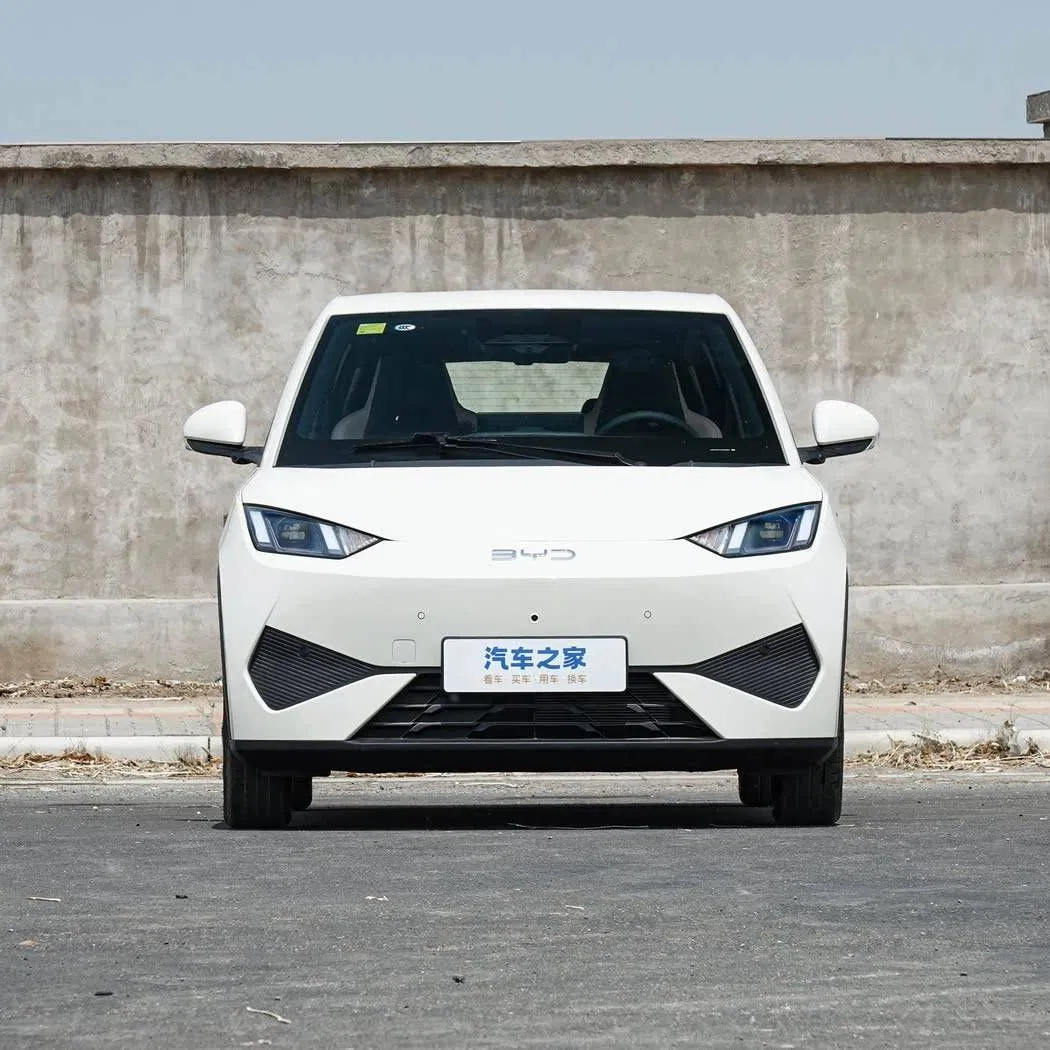 2025 High Quality Electric Byd Seagull Mini EV Car Long Range Vehicle The Popular Cars Loved by The Public