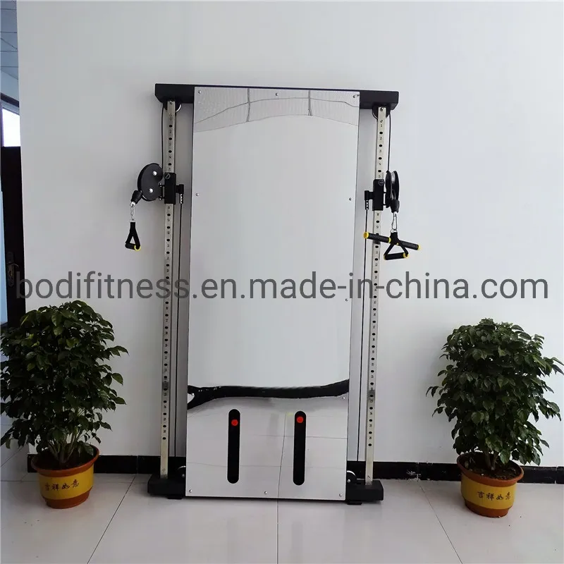 Gym Fitness Equipment
