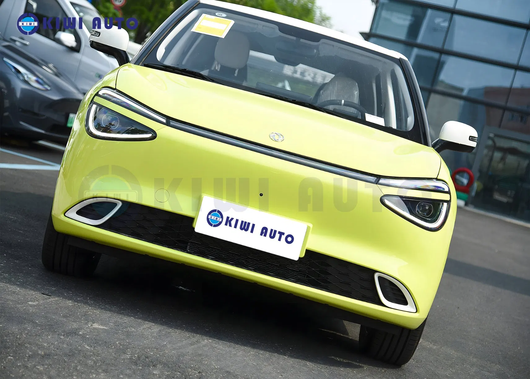 China Dongfeng Auto ELé Ctrico Mini EV Nano /Nammi 01 Long Range Small New Energy Electric Hatchback