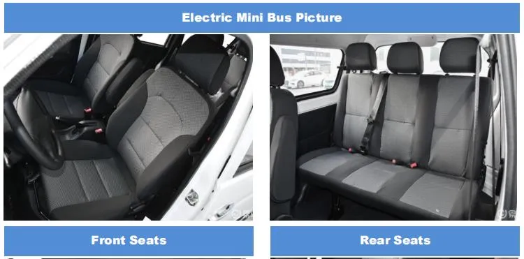 Electric Minibus System