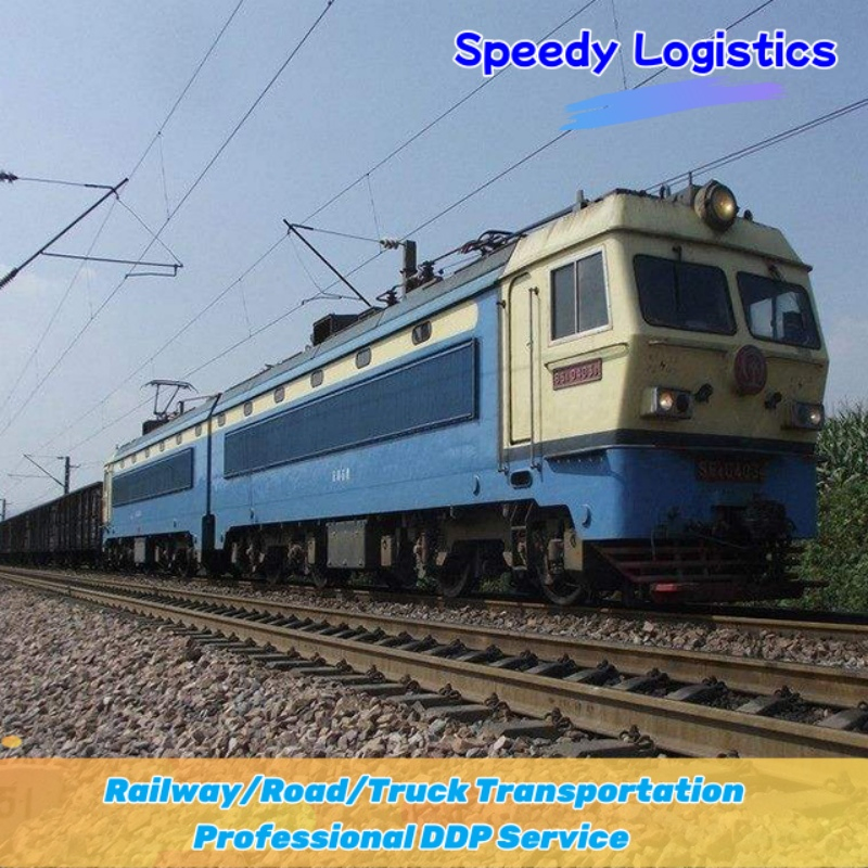 Sea Cargo Shipping Agent Freight Forwarder Shipping to India, Morocco, Nigeria, Turkey, USA, UK International Shipping Company Logistics Service