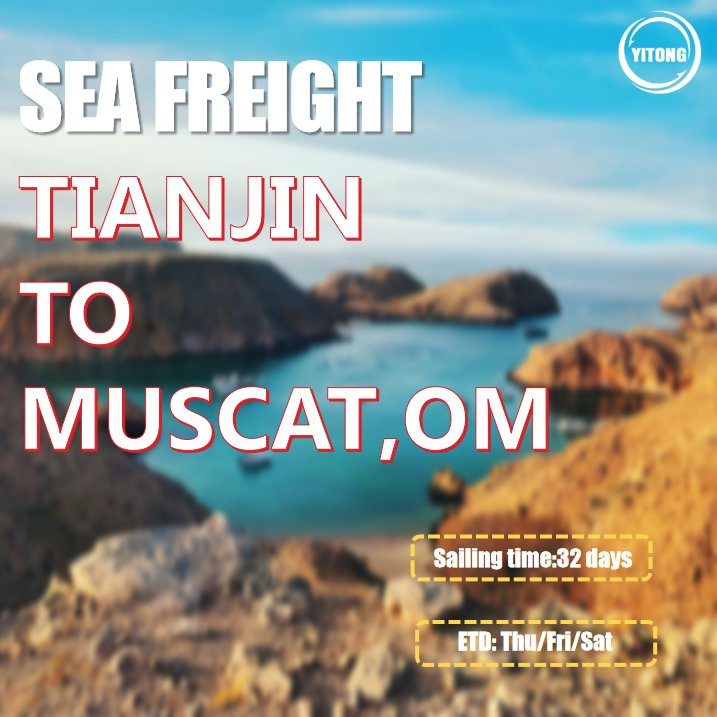 Sea Freight Tracking From Xiamen to Muscat Oman