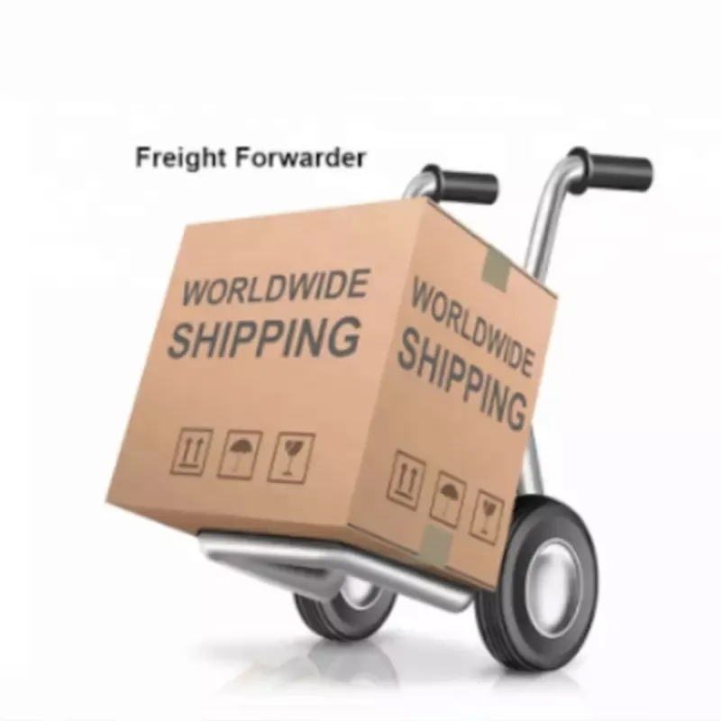 Competitive China Sea Freight Consolidation Service to Private Address USA Canada Mexico