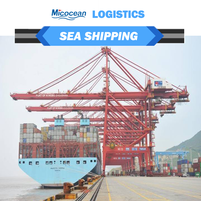 Professional Sea Freight Forwarder Shipping From Chinashanghai/Guangzhou/Shenzhen/Ningbo/Tianjin to Europe, USA, Canada, Australia, Japan, Korea