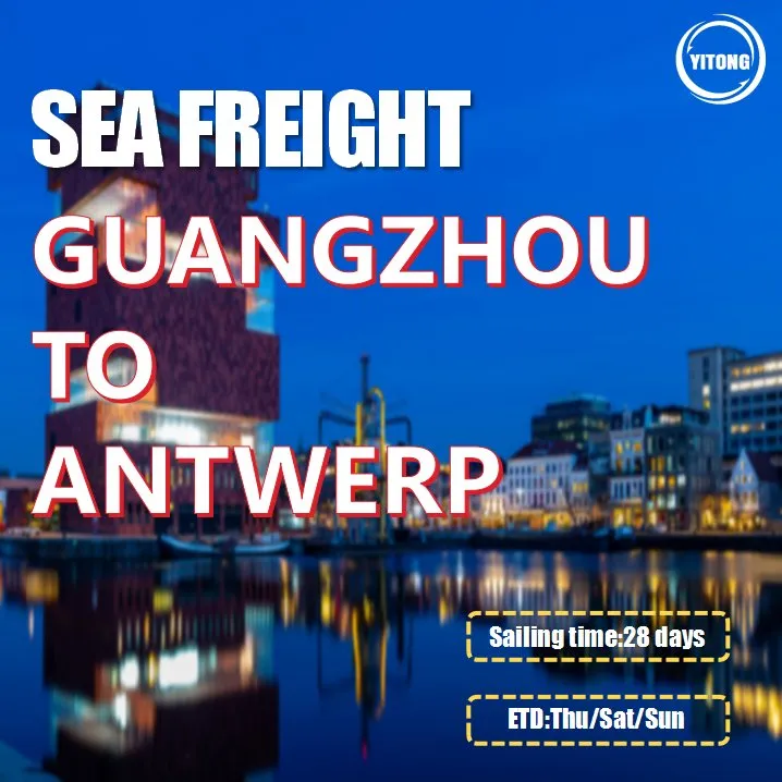 Shipping Logistics 4