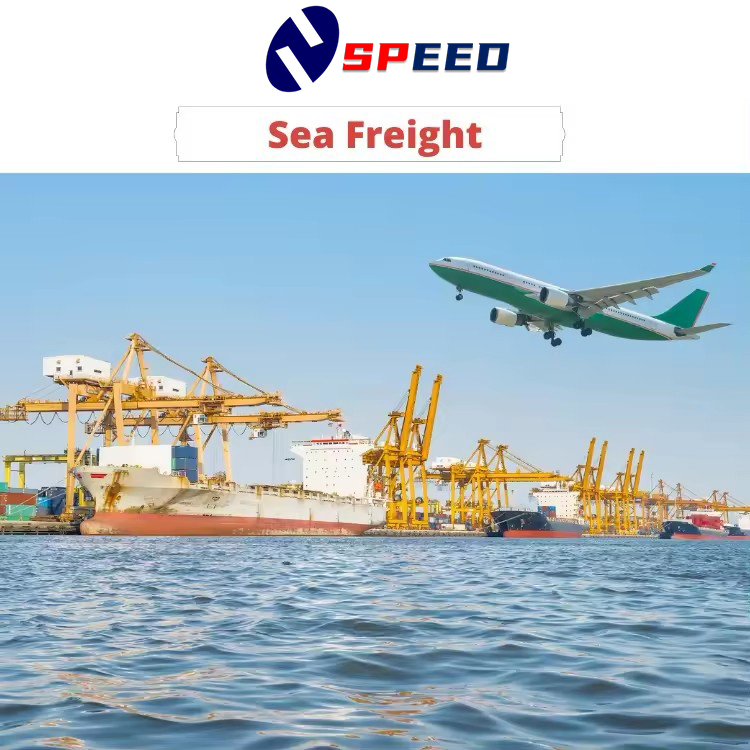 China Shipping Agent Cheap and Fast Fba DDP Sea/Air Freight Forwarder to Austalia Door to Door Service