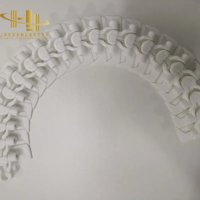 Conveyor Chain Detail 3