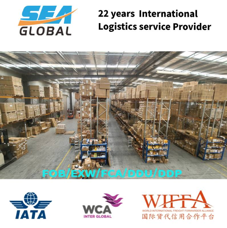 Fob Guangzhou to France Logistics Forwarder LCL Trusted Professional