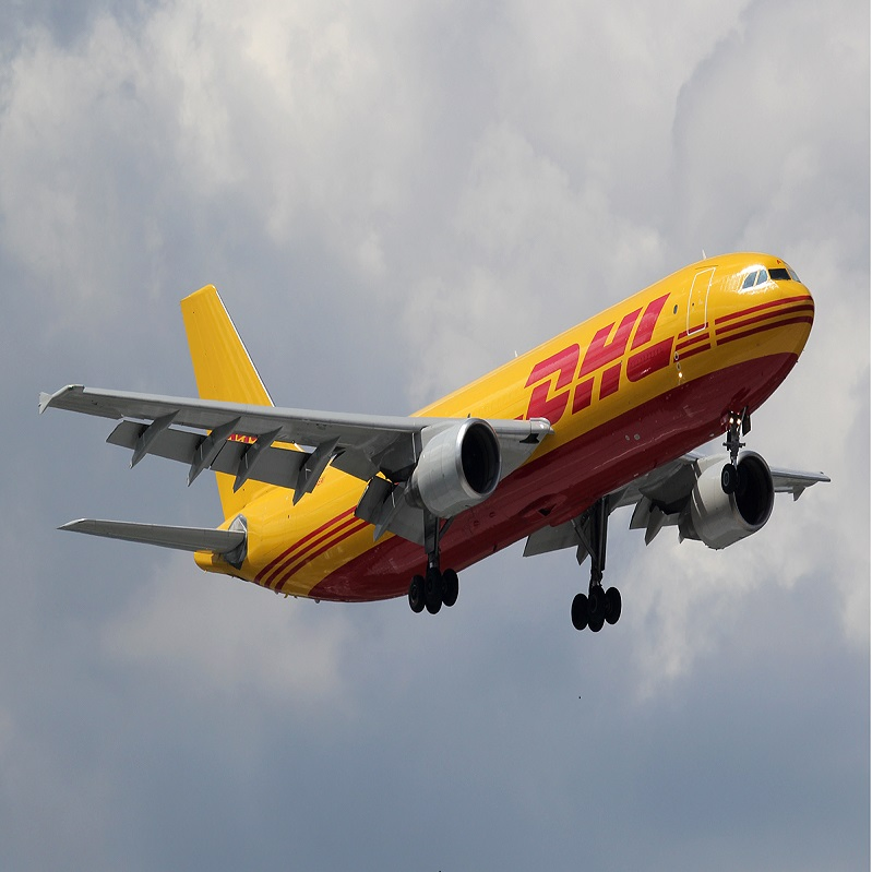 UPS/FedEx Courier Service Air Shipping Agent Door to Door Delivery Service to Australia/Philippines