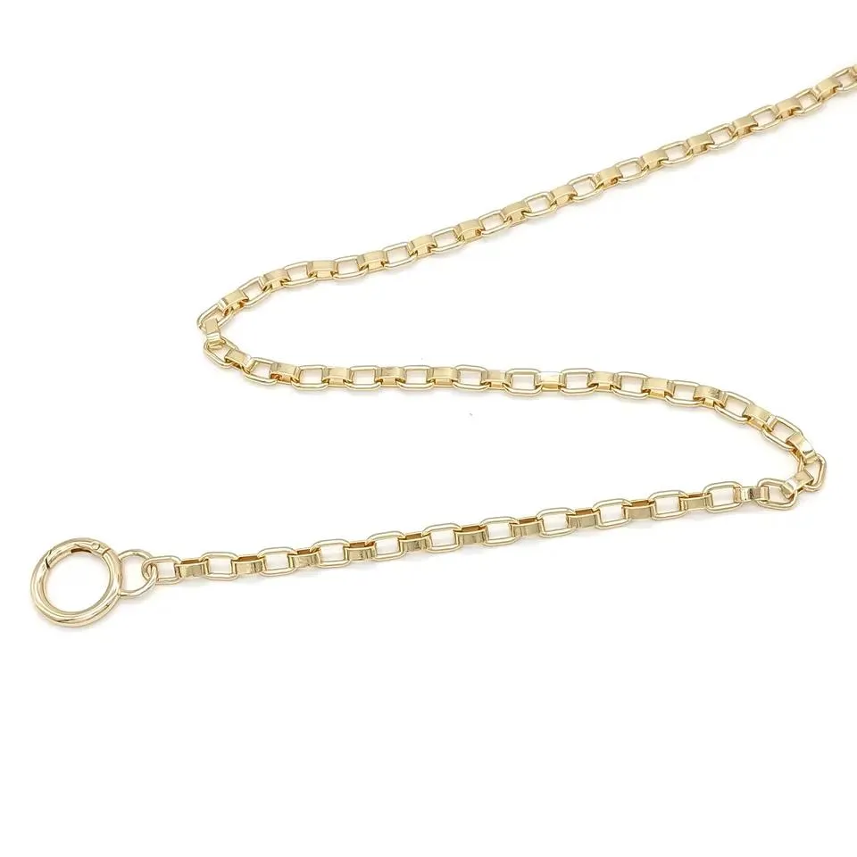 Gold Bag Straps Accessory