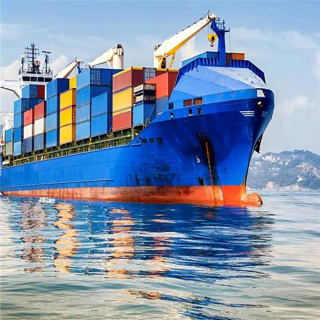 Provide Qingdao Export Customs Clearance Services