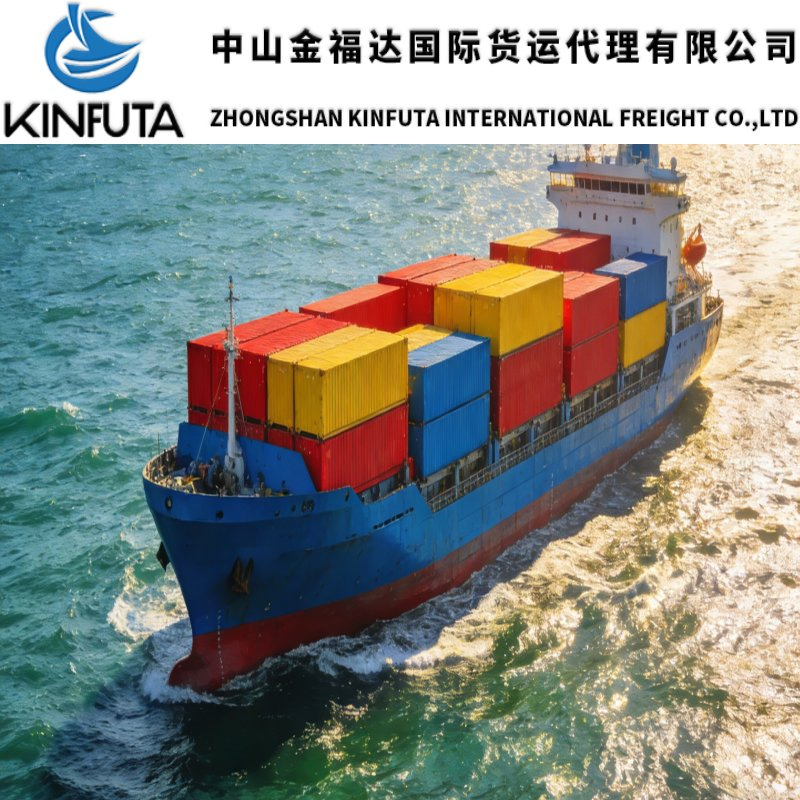 International DDU/DDP Sea Freight Shipping From China to USA FCL Full Container Load 20gp 40FT LCL France USA Canada Germany France Spain