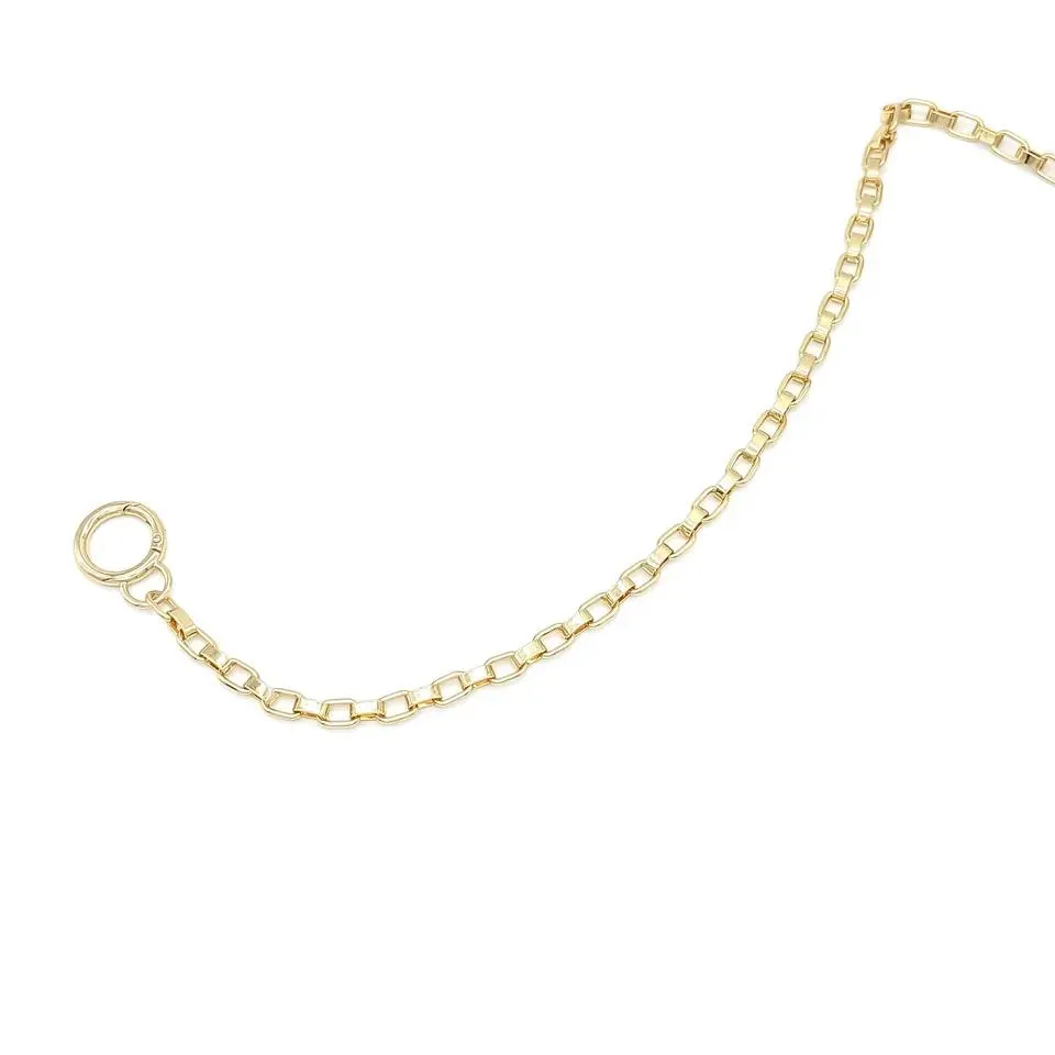 Gold Bag Straps Accessory