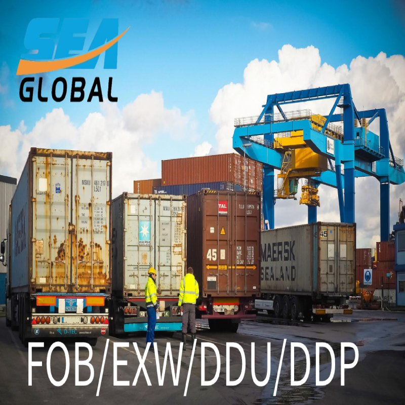 22 Years Logistics Agent FCL Container Shipping China to USA Canada Mexico UK EU Australia EXW Fob DDU DDP Freight Forwarder