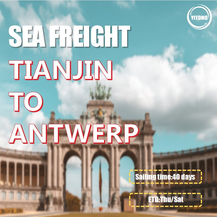 Sea Freight Tracking From Guangzhou to Antwerp Belgium