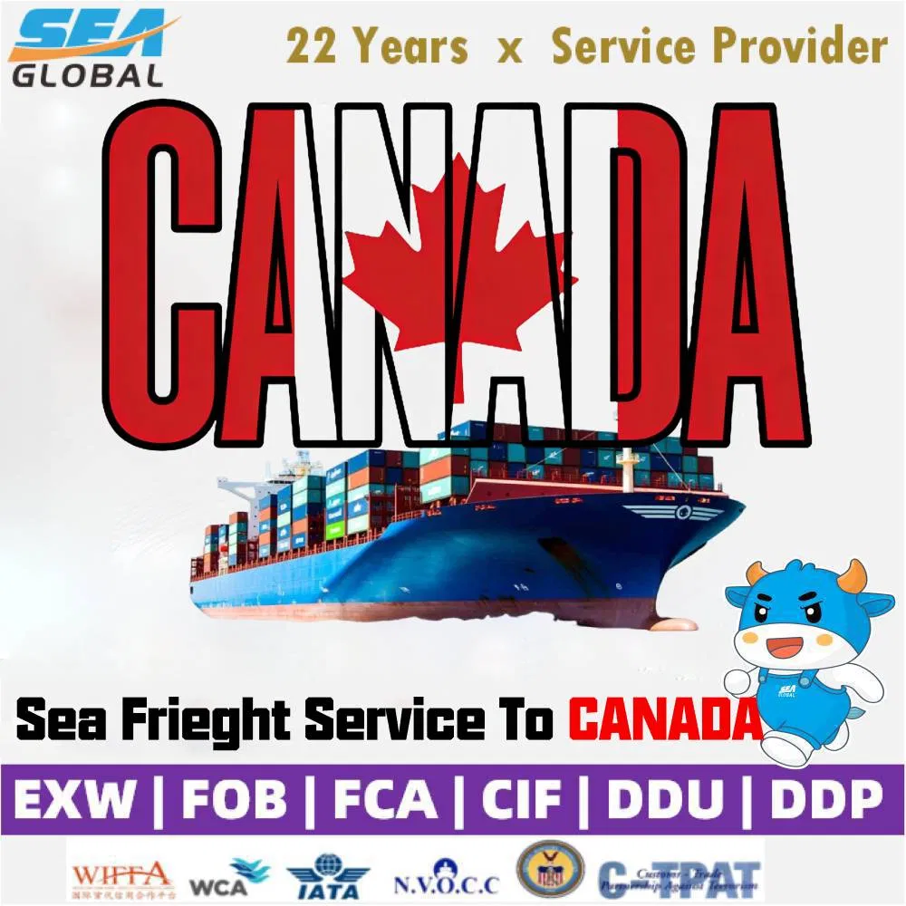Freight Forwarder Container Shipping China to USA Canada Mexico EXW Fob DDU DDP Logistics Agent