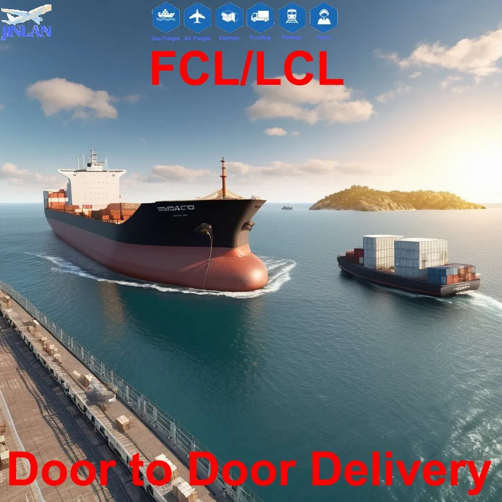 International Logistics Sea Freight From Shenzhen/Guangzhou to UAE, Djibouti, Sudan, Malawi, Mali, Martinique