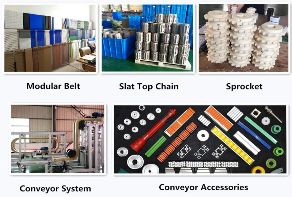 Conveyor Chain Detail