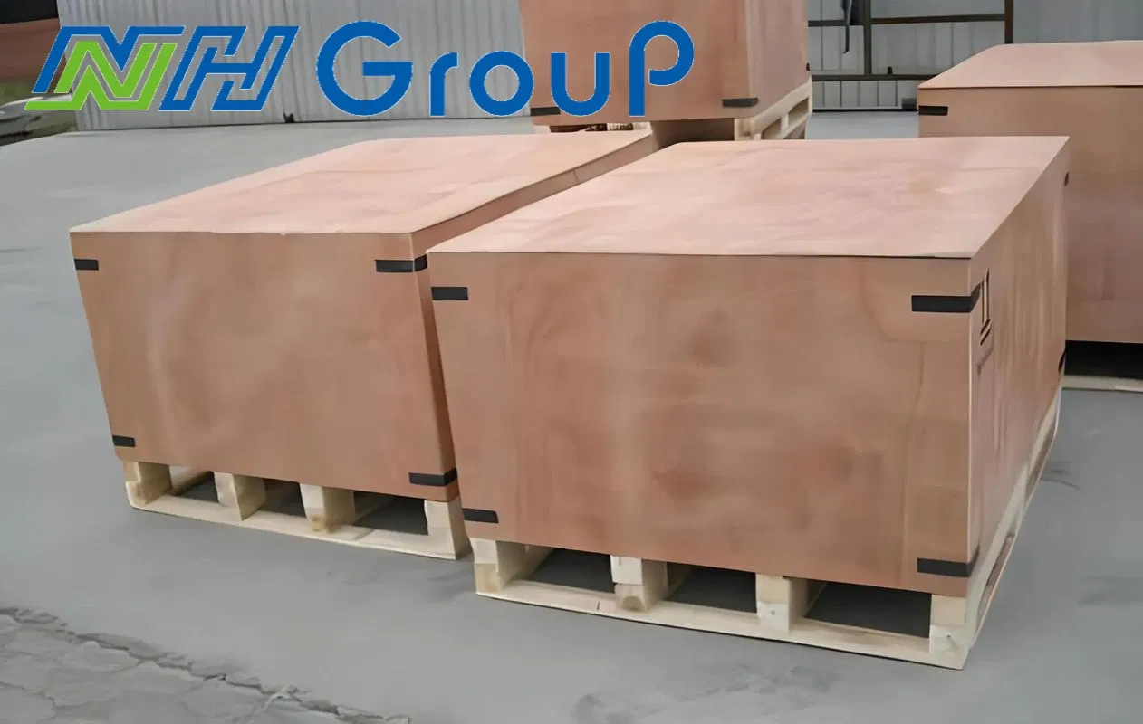 Customs Clearance by Sea Freight Carton Logistics