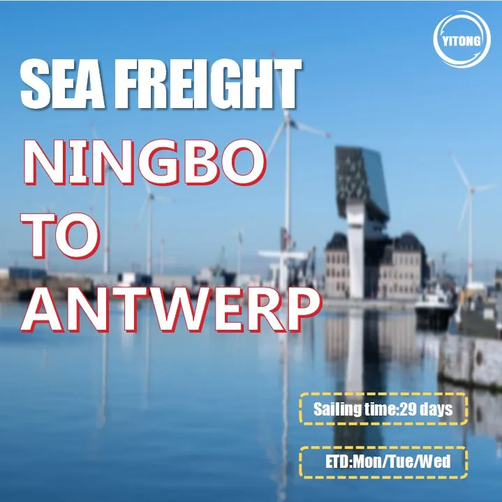 Shipping Logistics 6