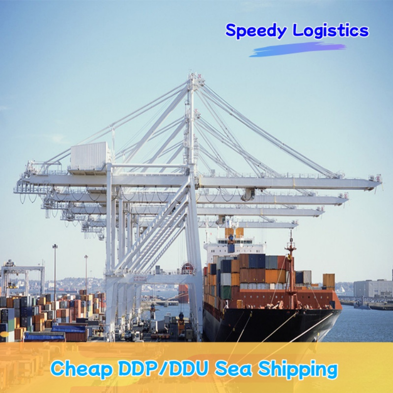 Sea Cargo Shipping Agent Freight Forwarder Shipping to India, Morocco, Nigeria, Turkey, USA, UK International Shipping Company Logistics Service