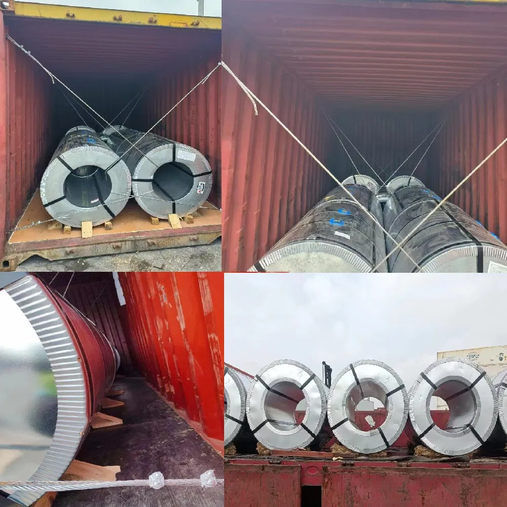 Container Shipping Transportation Service Sea Shipping Agent Sea Freight Forwarder to Paraguay