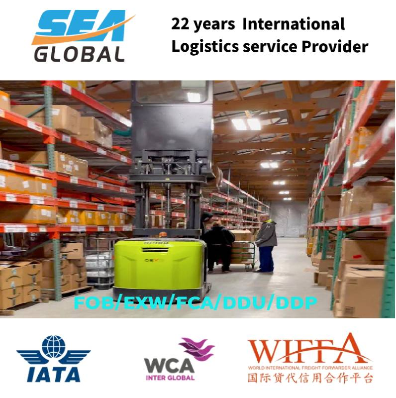 Fob Guangzhou to France Logistics Forwarder LCL Trusted Professional