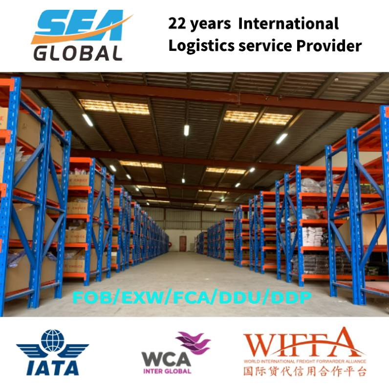 Fob Guangzhou to France Logistics Forwarder LCL Trusted Professional