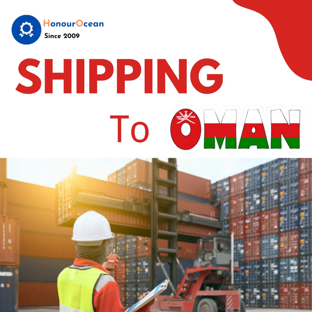 Professional FCL Full Container Load Shipping Agent and Freight Forwarder Shipping From China to Amazon Fba Warehouse