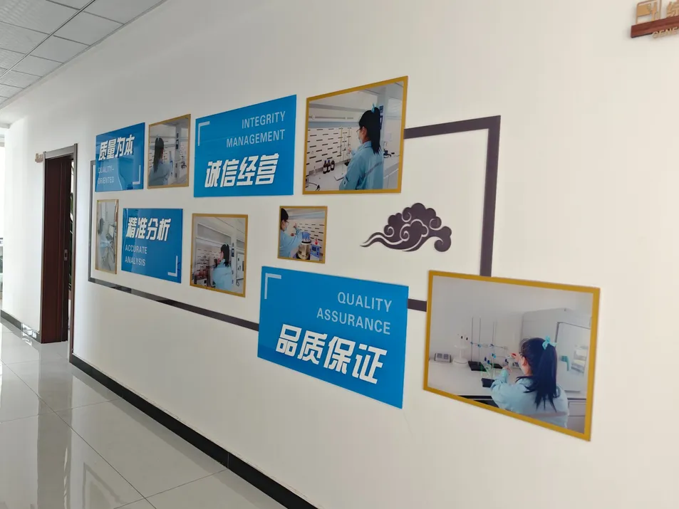 Application Detail 1